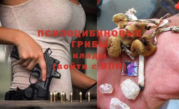 сатива Наволоки