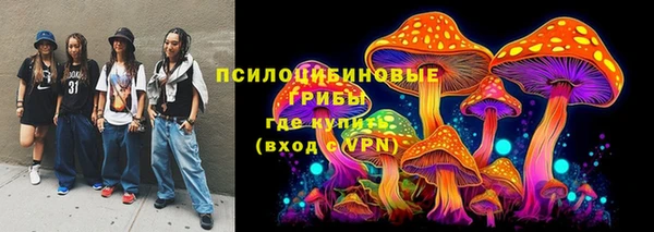 первитин Надым