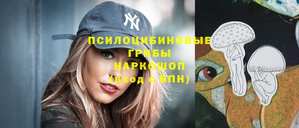 сатива Наволоки