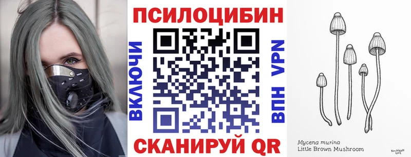 Галлюциногенные грибы Magic Shrooms  цены   Фурманов 
